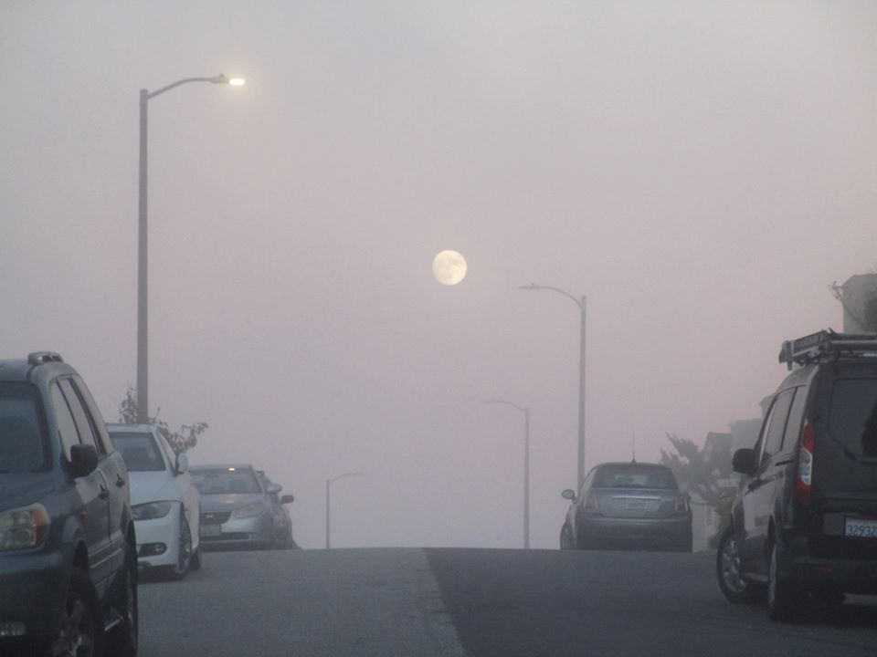 76693277_10220425809581612_2542884934339526656_o