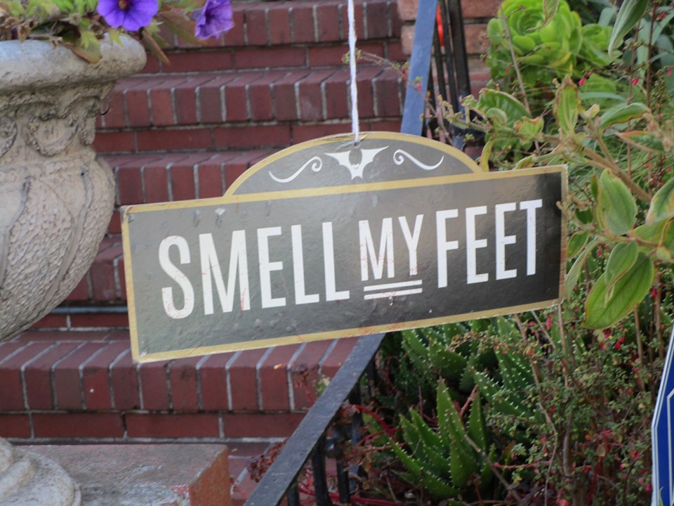 76717440_10220339296578841_914383131270709248_n-1