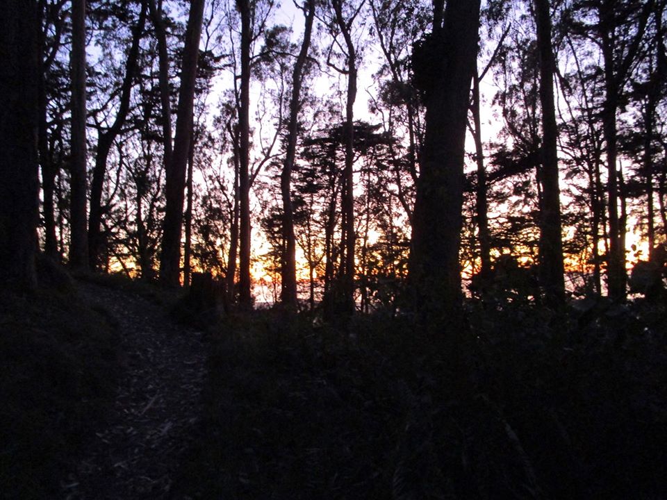 76756837_10220425799101350_2580494910683611136_o