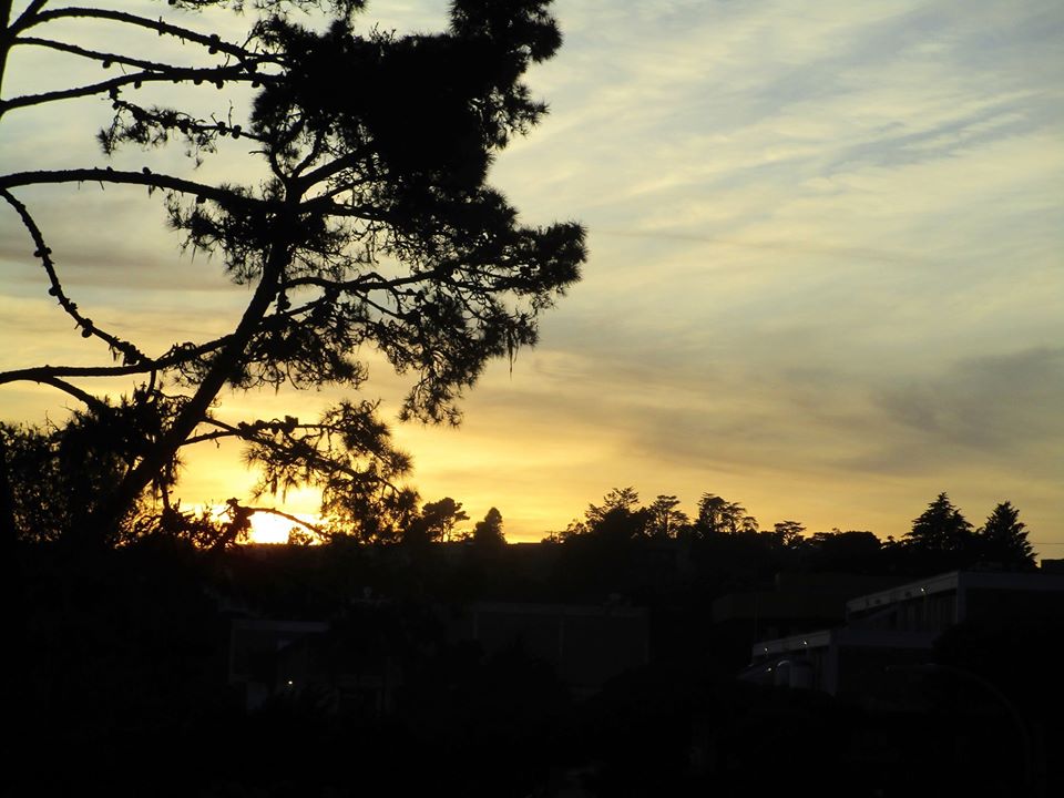 76953181_10220545535854694_6076147026003755008_o