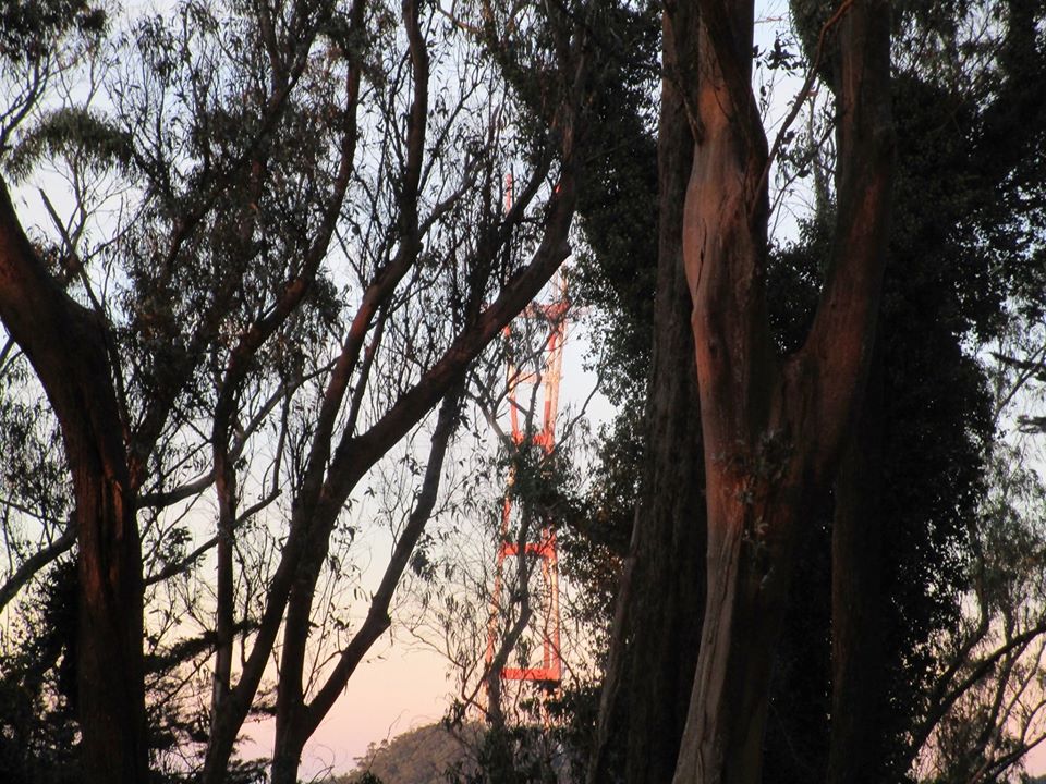 77398027_10220545546934971_1164067296927285248_o