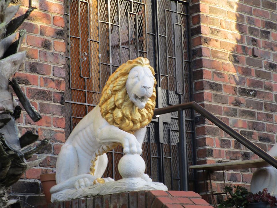 78121777_10220545550495060_776678632855699456_o