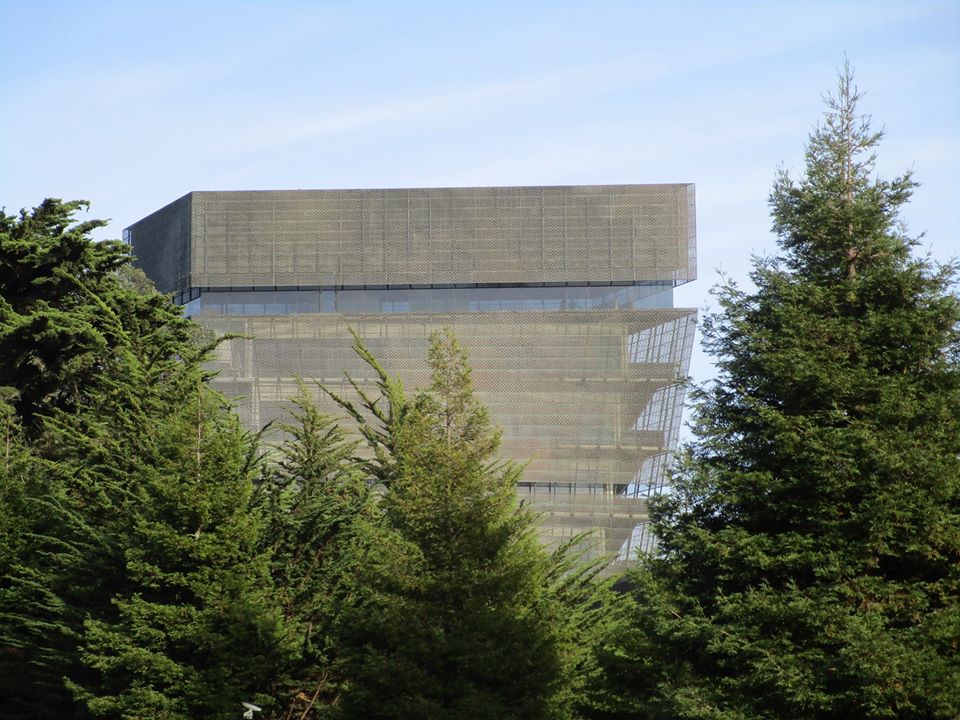 78264145_10220545539734791_5337228581678350336_o