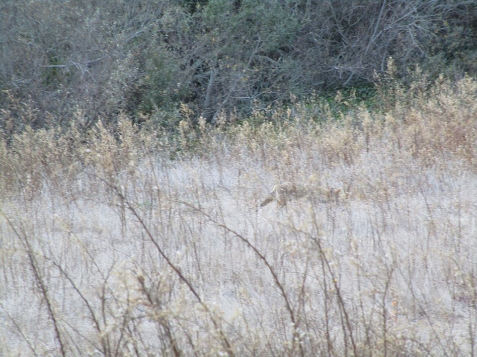 78264780_10220545546494960_8894484817379328000_o