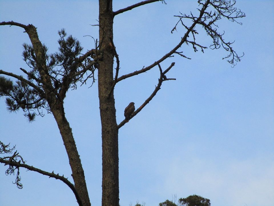 78333714_10220616752835074_6519746229180563456_o