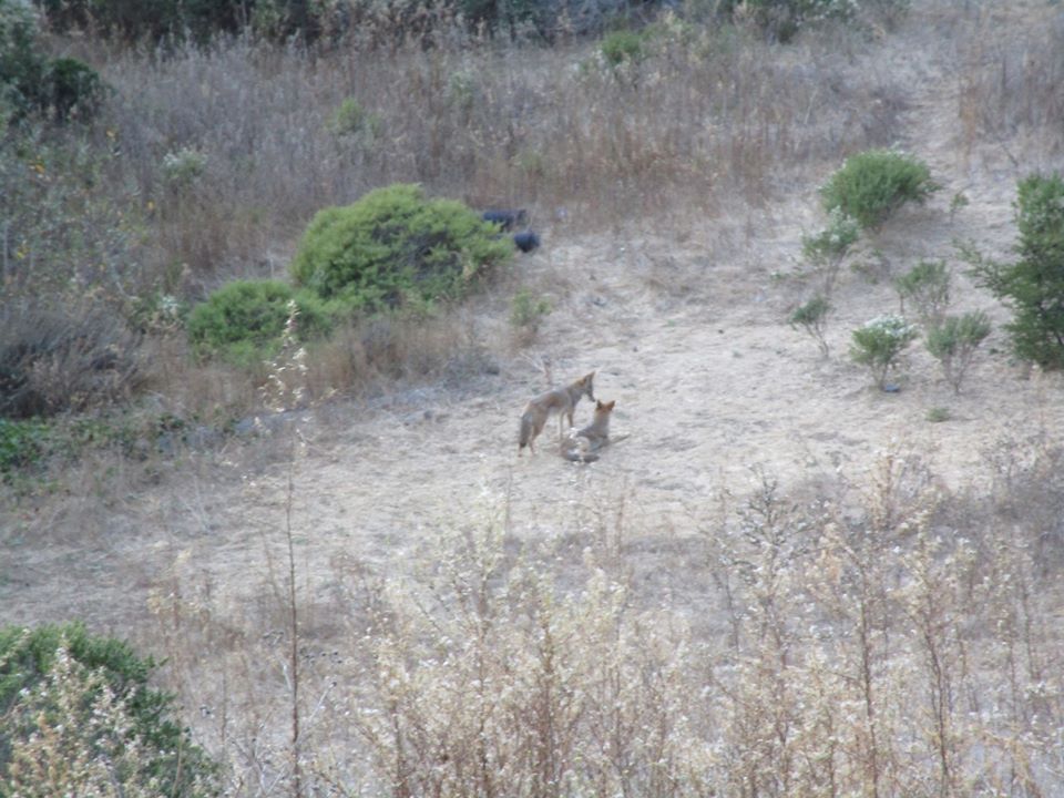 78364458_10220545548615013_5814635190428893184_o