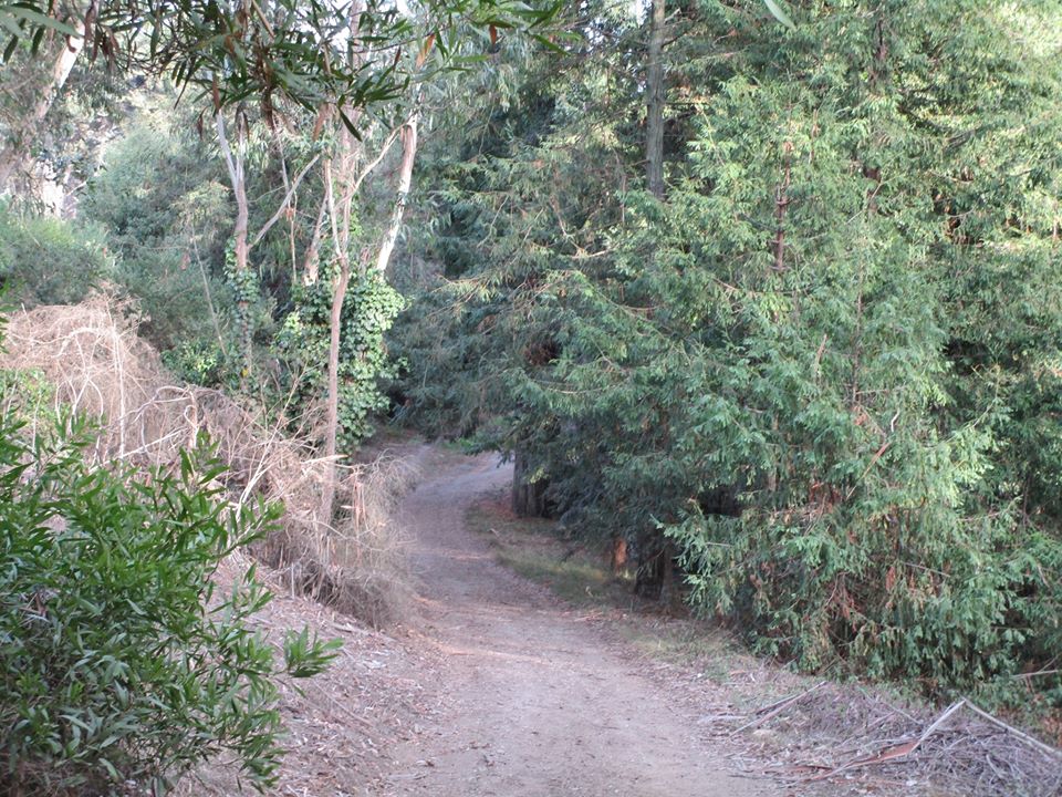 78373236_10220545539894795_7116391536773824512_o