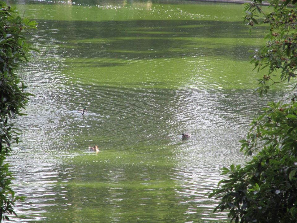 78489711_10220545540134801_7939173353607135232_o