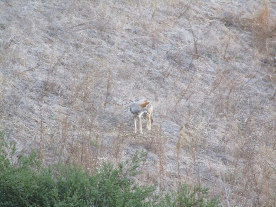 78554963_10220616750995028_2663269710845444096_o