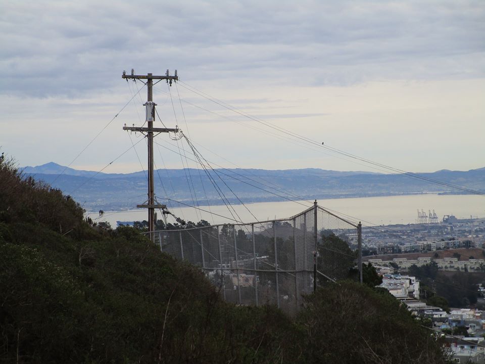 78361657_10220666633722065_7588352771238133760_o