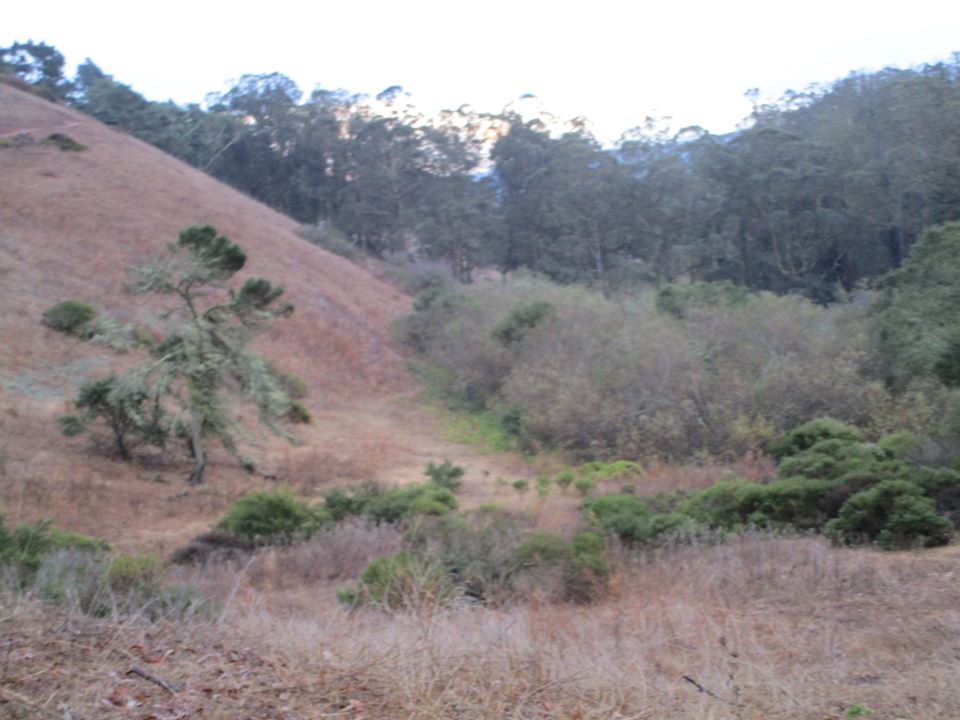 78850290_10220666633482059_5758683156815282176_o