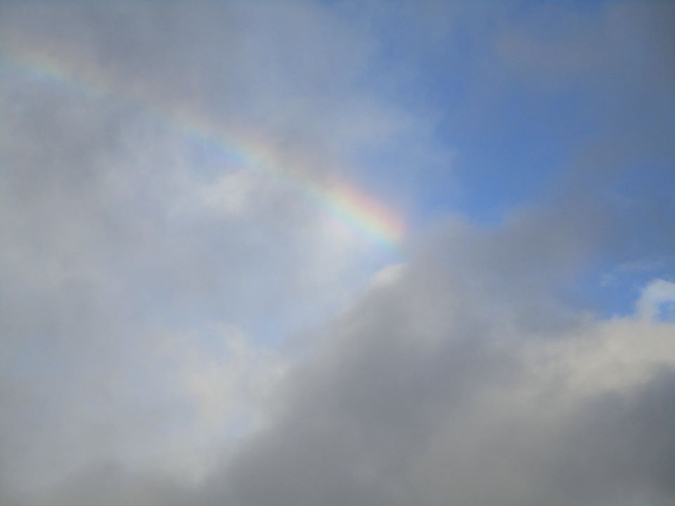 79083019_10220716636452102_510521382128320512_o