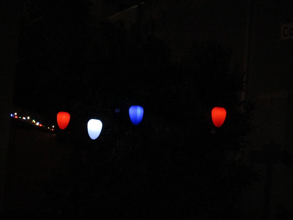 79388093_10220716638652157_6104612042017079296_o