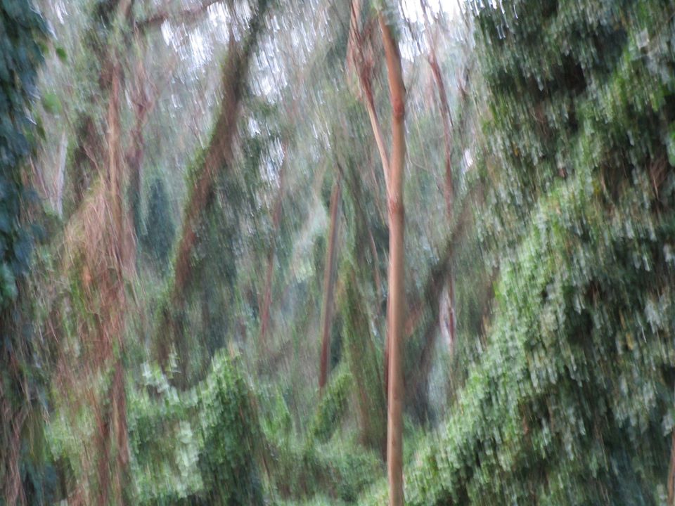 79540645_10220666637082149_8287969417241821184_o