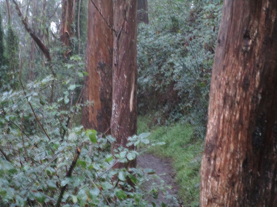 79600692_10220666634322080_2868200570680770560_o