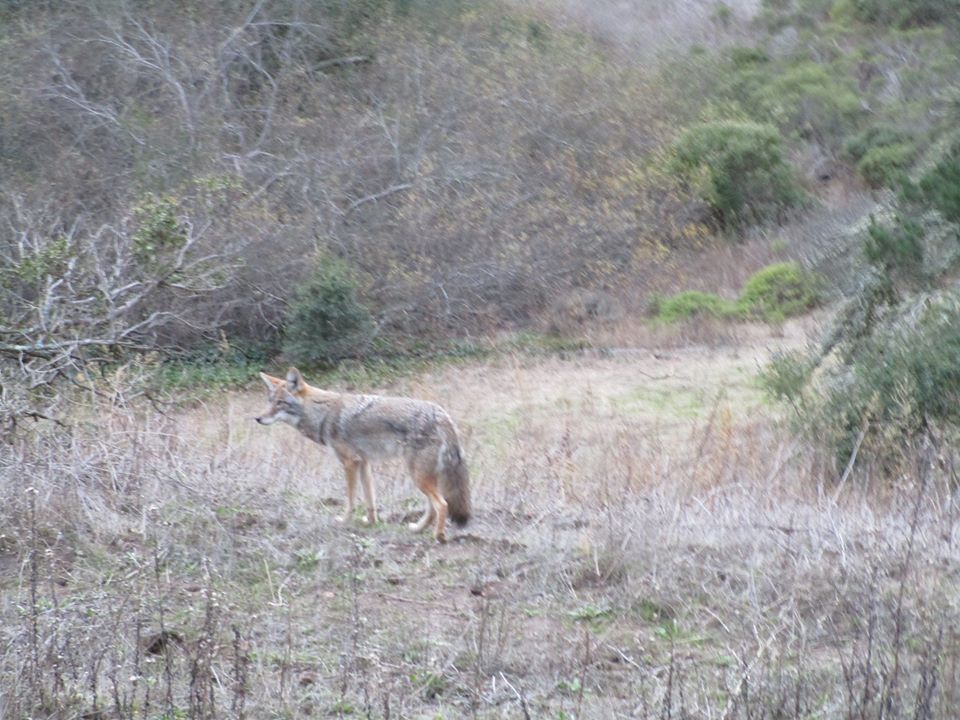 80054959_10220716639852187_49853661089628160_o