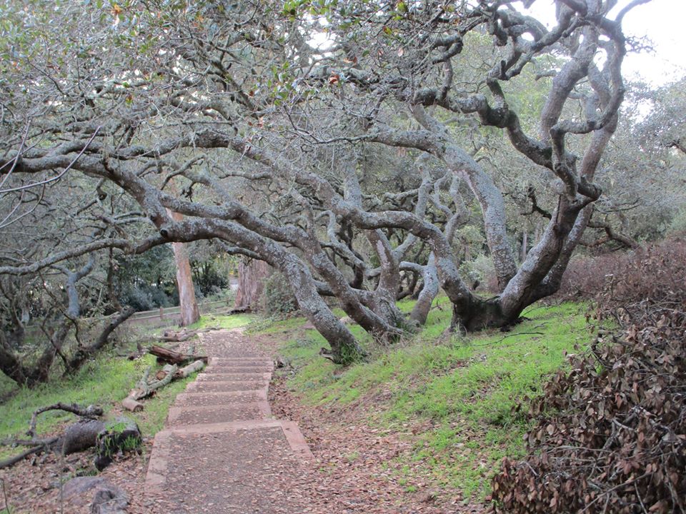 80410218_10220886056807505_3657020942938275840_o