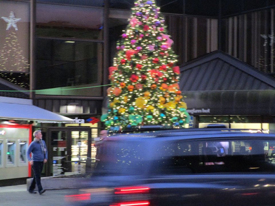 80431820_10220785369850394_7639713493402255360_o