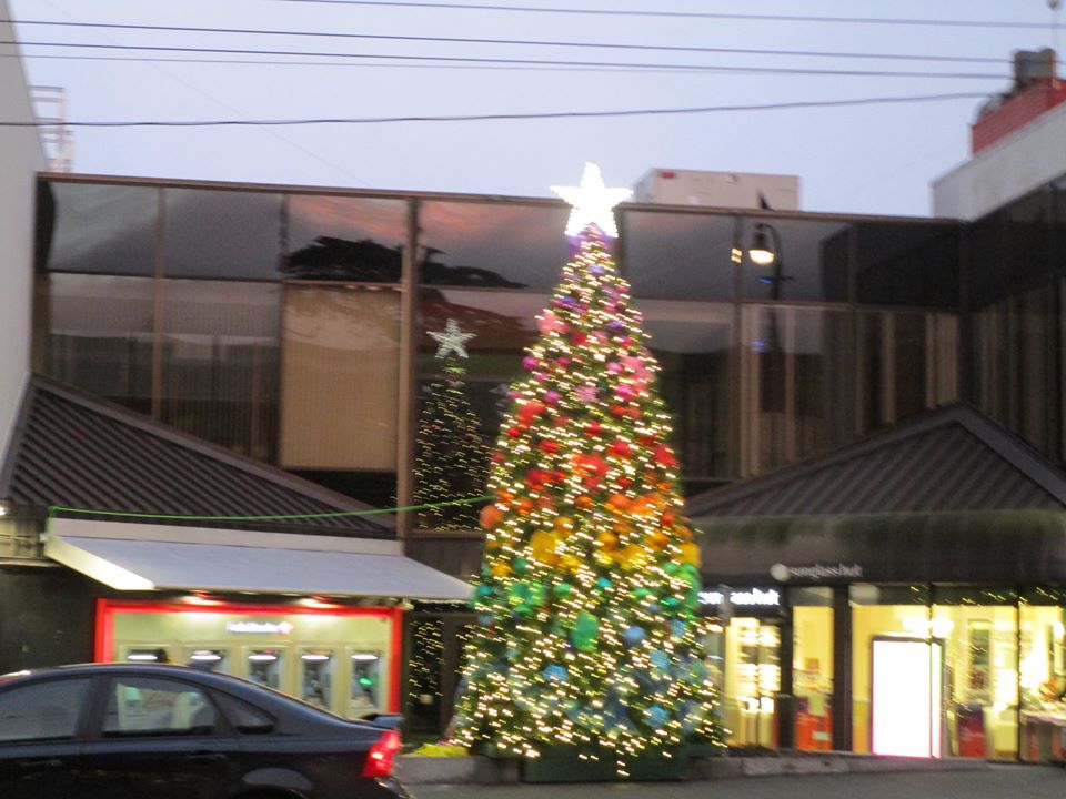 80464463_10220785376770567_8320066592608092160_o