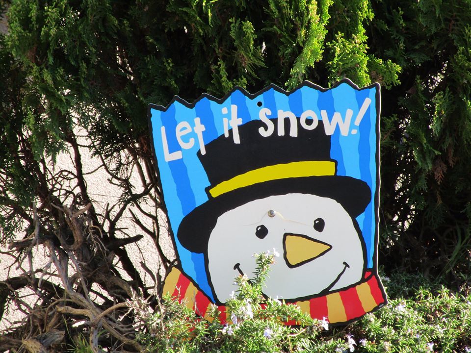 80613289_10220886055407470_4943037136086499328_o