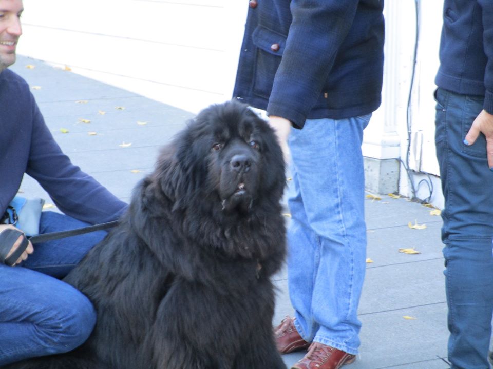 80670001_10220785389610888_126022268974268416_o