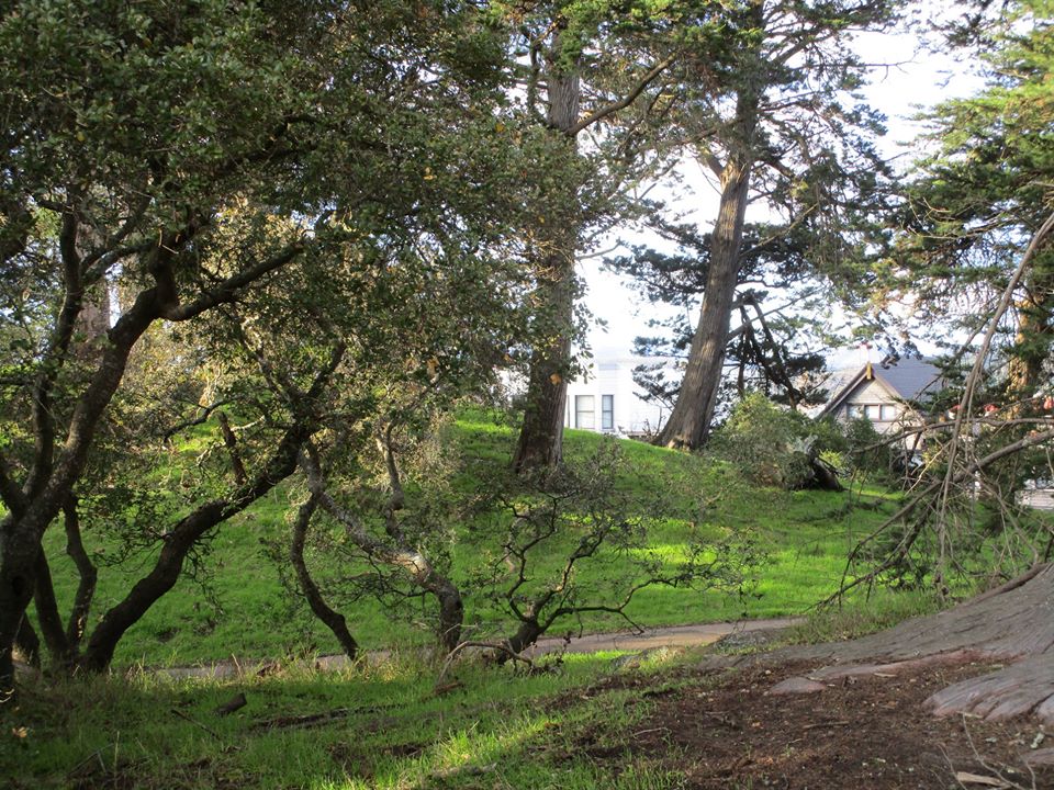 80730496_10220886058967559_2285405755228028928_o