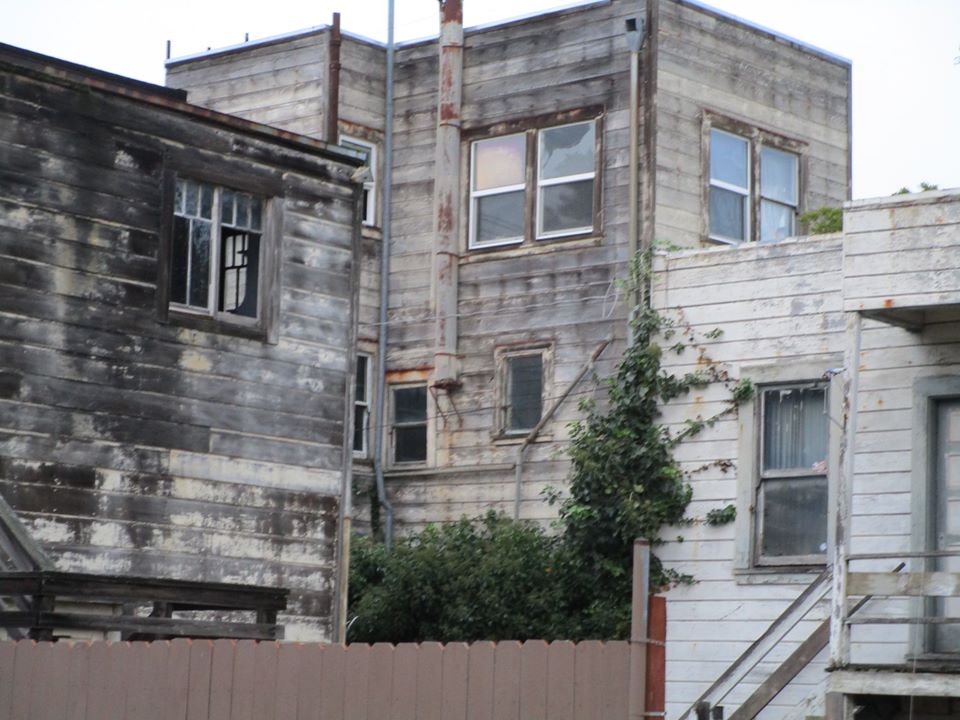 81061260_10220785383490735_1664419540823441408_o