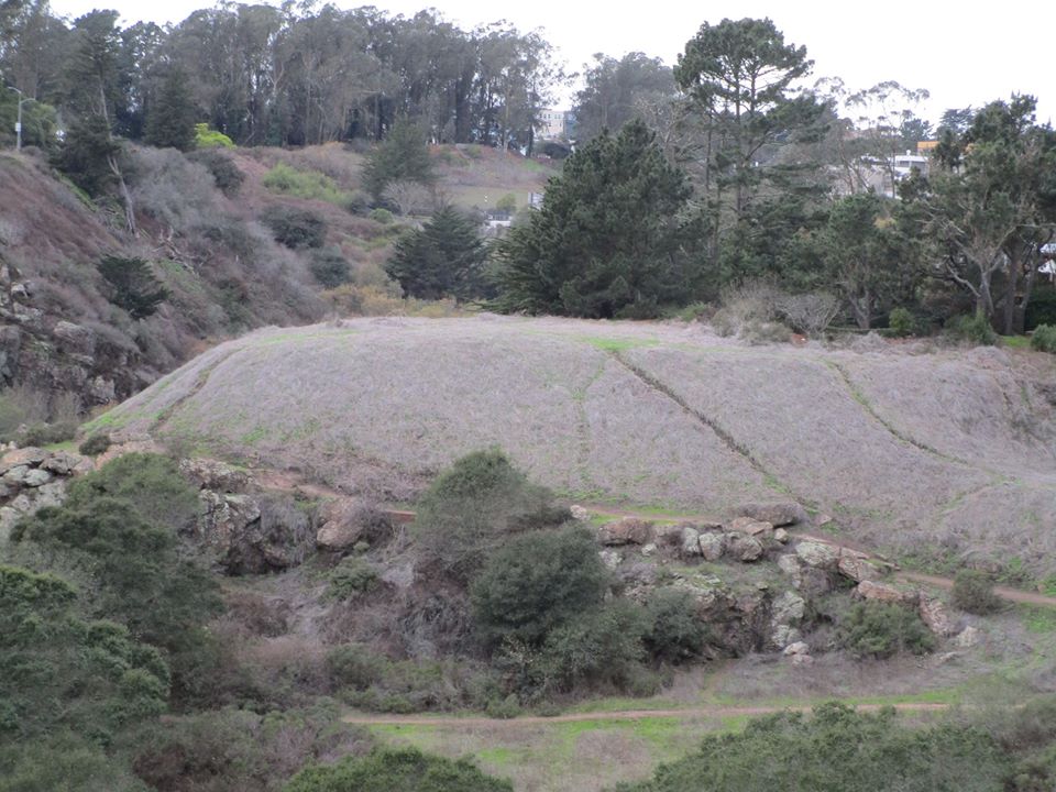 81021552_10220886061687627_9216600453976948736_o