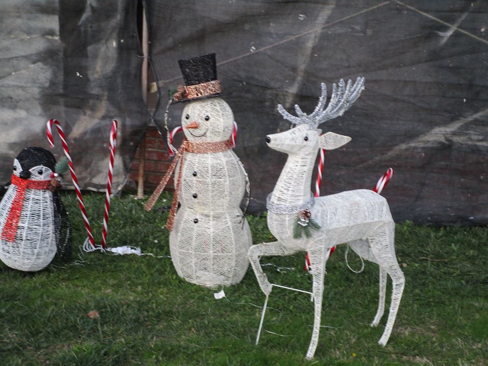 81136633_10220957197185970_7583450109019422720_o