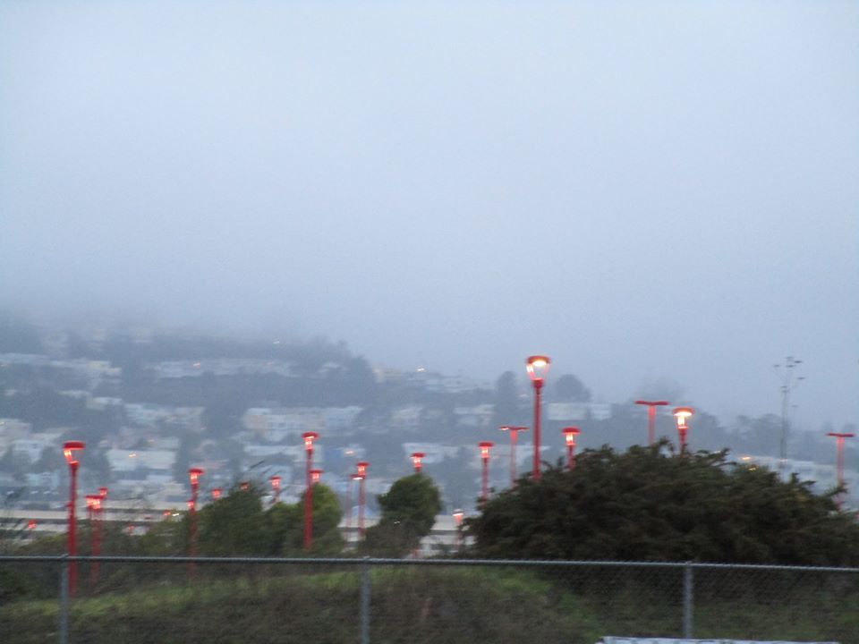 81180308_10220957200946064_4792413766887145472_o