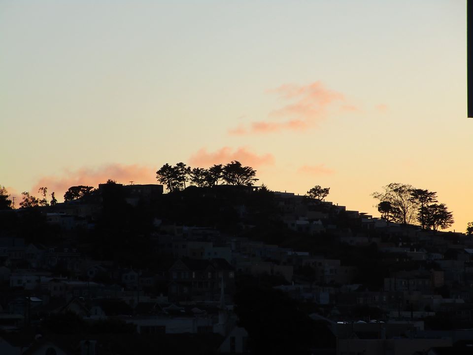 81195821_10220886060287592_4800271486864588800_o