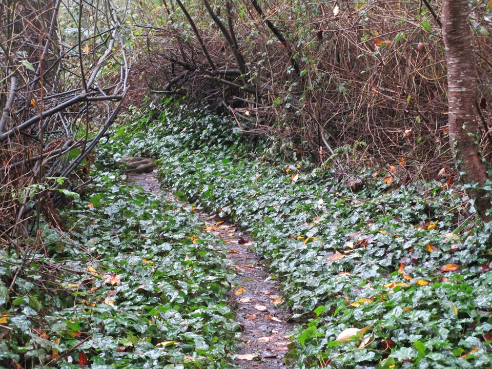 81246910_10220957196705958_7087509415011549184_o