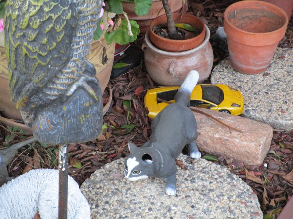 81390964_10220957212106343_8137570017702051840_o