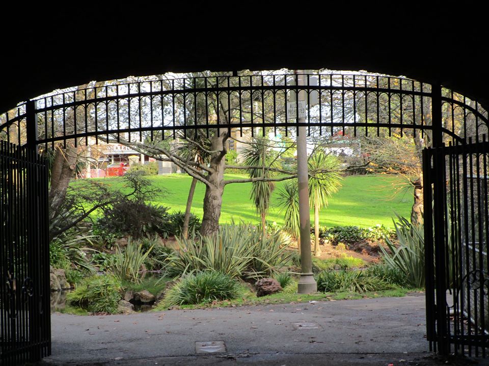 81420373_10220886060687602_2800237862887358464_o