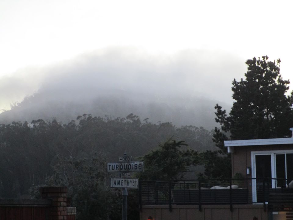 81563615_10220957211826336_4862366036676050944_o