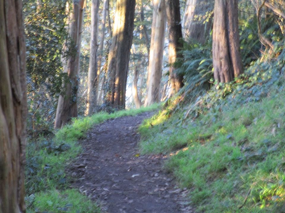 82071662_10220957191985840_2174945230803959808_o