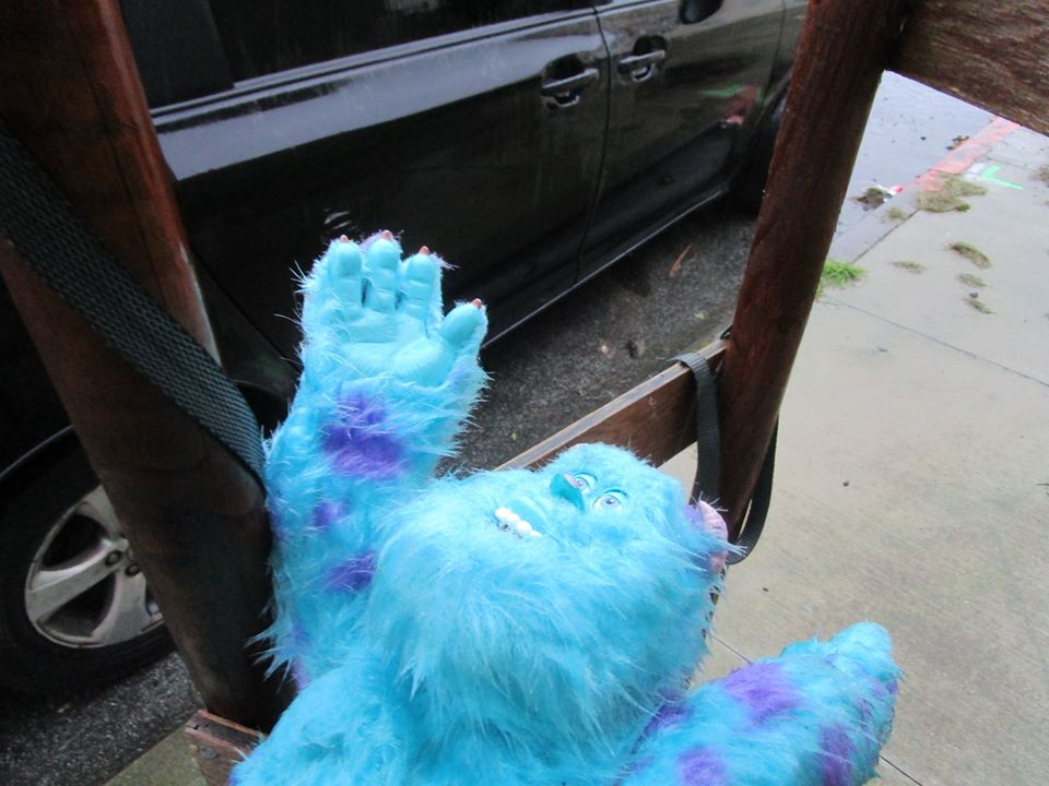 82127998_10221088419306441_1659968902437797888_o