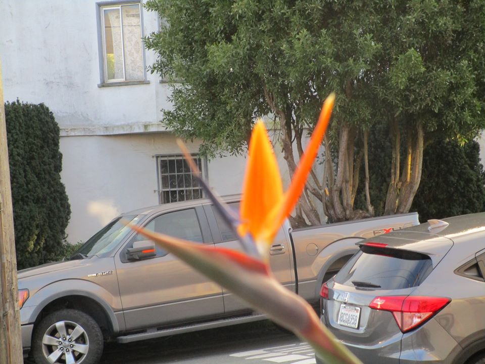 82447142_10221088415066335_2572060428137922560_o