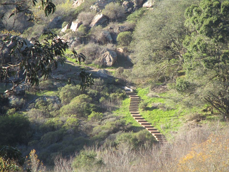 82576134_10221088407186138_2295711456240336896_o