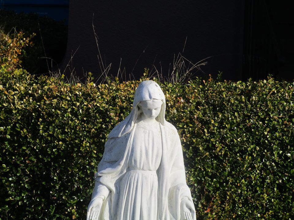 82594772_10221088417866405_5035556358049497088_o