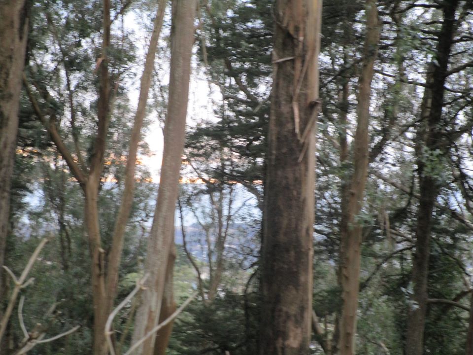 82986562_10221088415826354_4168665854151491584_o