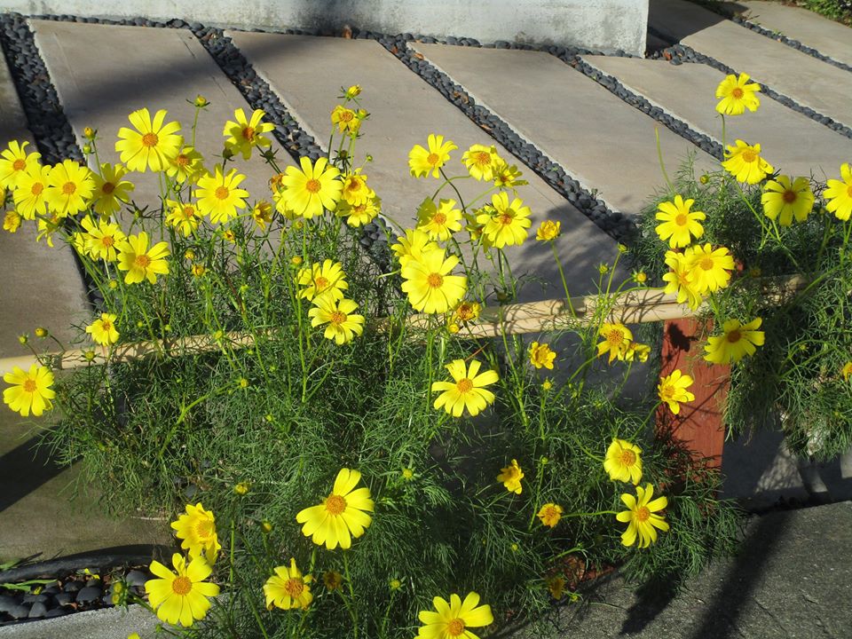 83557896_10221088421866505_3873374311246987264_o