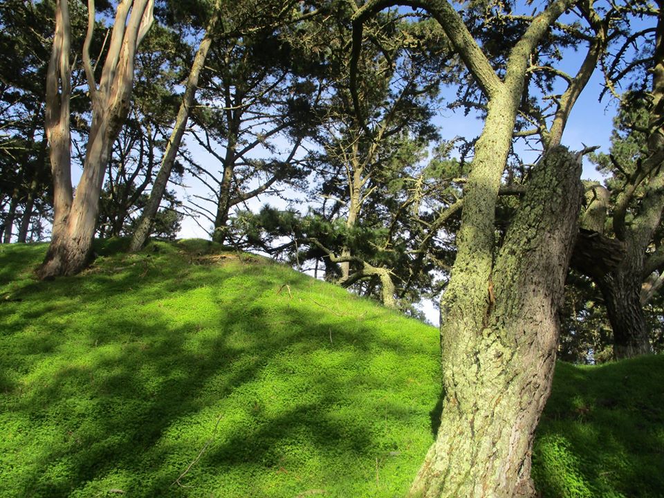 84522796_10221195412101194_9037866884602527744_o