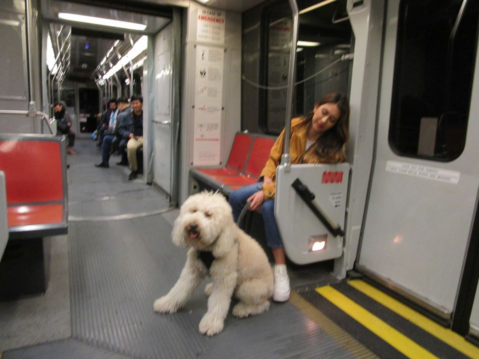 83423057_10221222363494962_86644114723962880_o