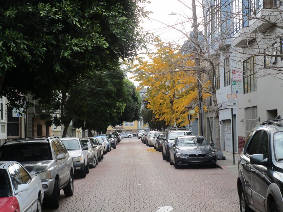 83649387_10221195421501429_2648569042813583360_o