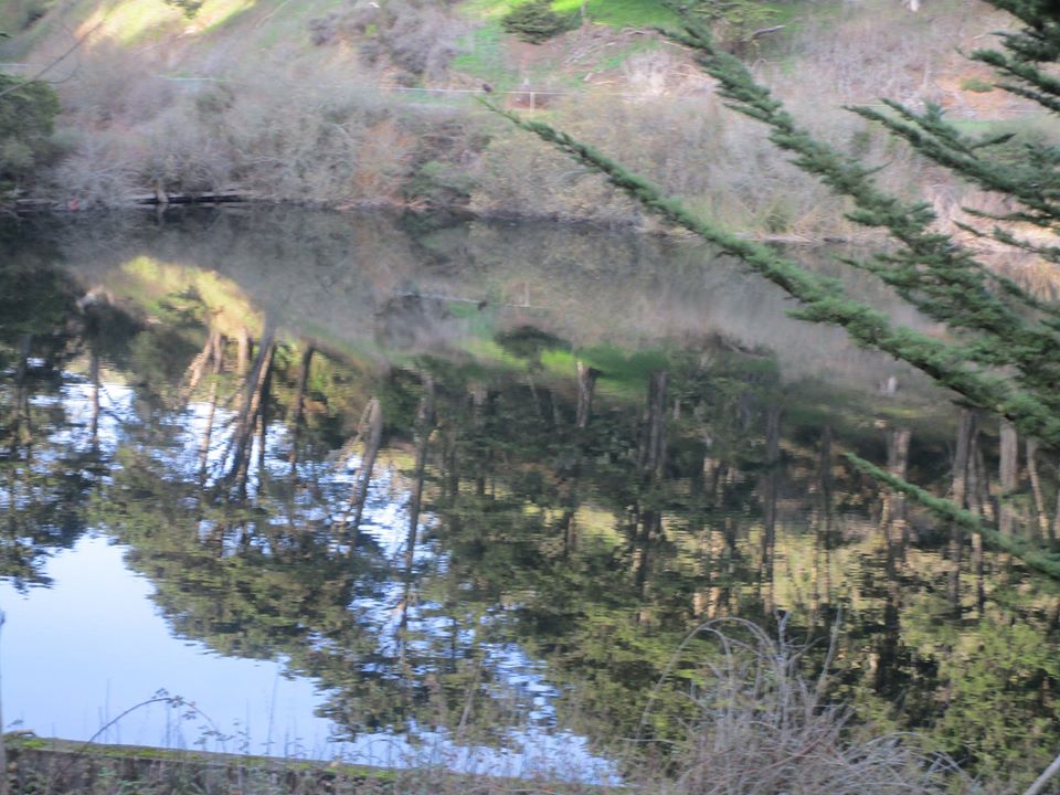 84820473_10221340387725494_7488032303822667776_o