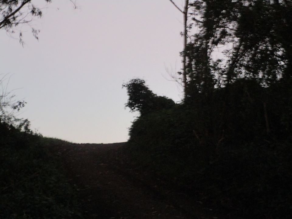 84835017_10221340426686468_4071051521075183616_o