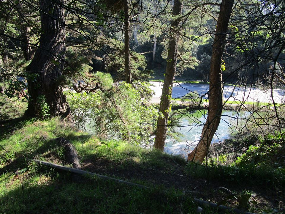 84943313_10221340434126654_4437904662309371904_o