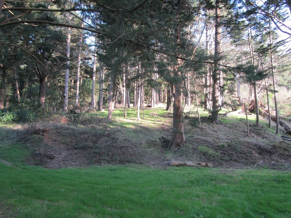 85000353_10221340392005601_5562935091677626368_o