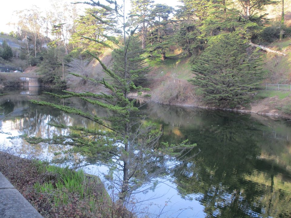 85057890_10221340391005576_3864503198031020032_o